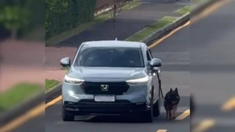 Vídeo: homem é indiciado por dirigir com cachorro preso para fora no Paraná