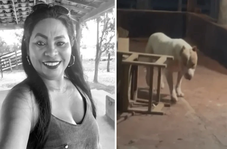 Pitbull ataca e mata dona dentro de residência no Maranhão