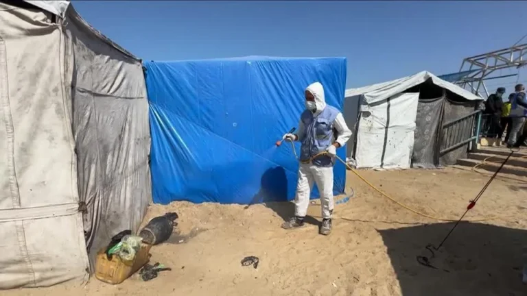Famílias em Gaza lutam contra infestação de ratos em campos de refugiados