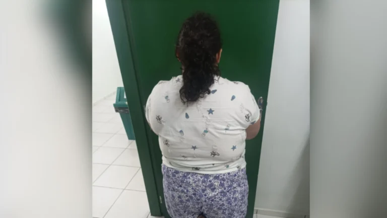 Entenda como aconteceu adoção da mulher que fingia ser adolescente em SC