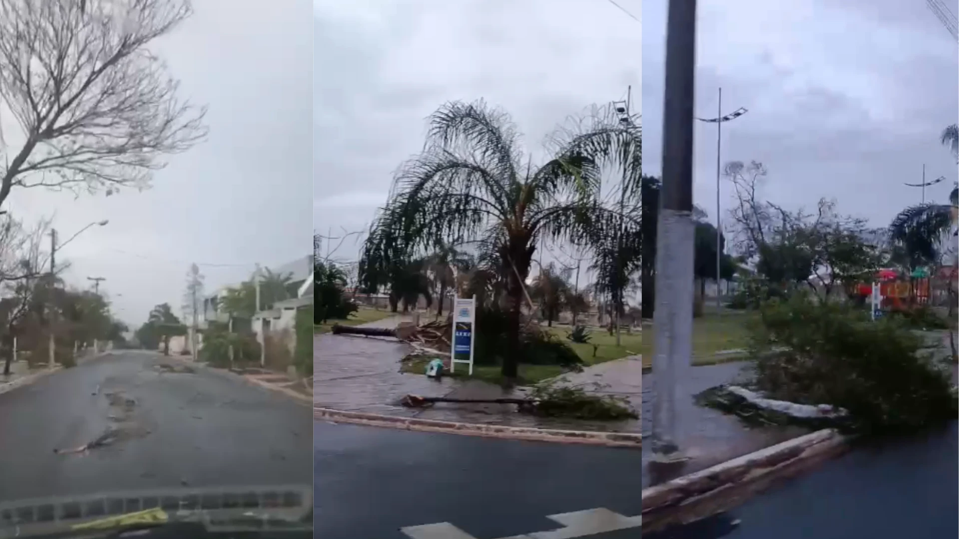 Bombeiros registram mais de 440 ocorrências após temporal em Ribeirão Preto