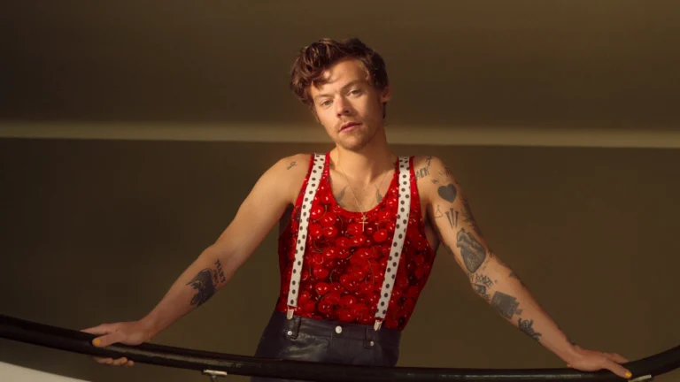 Harry Styles em SP: saiba o que levar, horários e como chegar