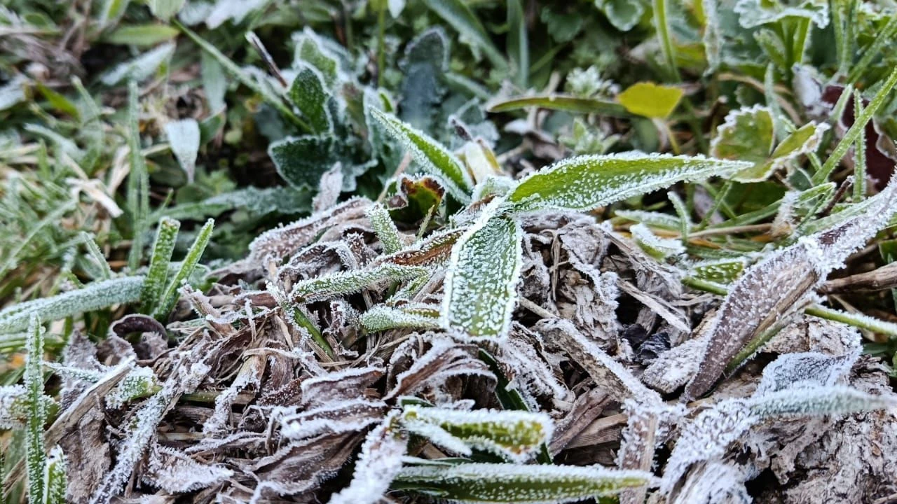 Com 2,1°C, Campos do Jordão iguala recorde de frio no ano em SP