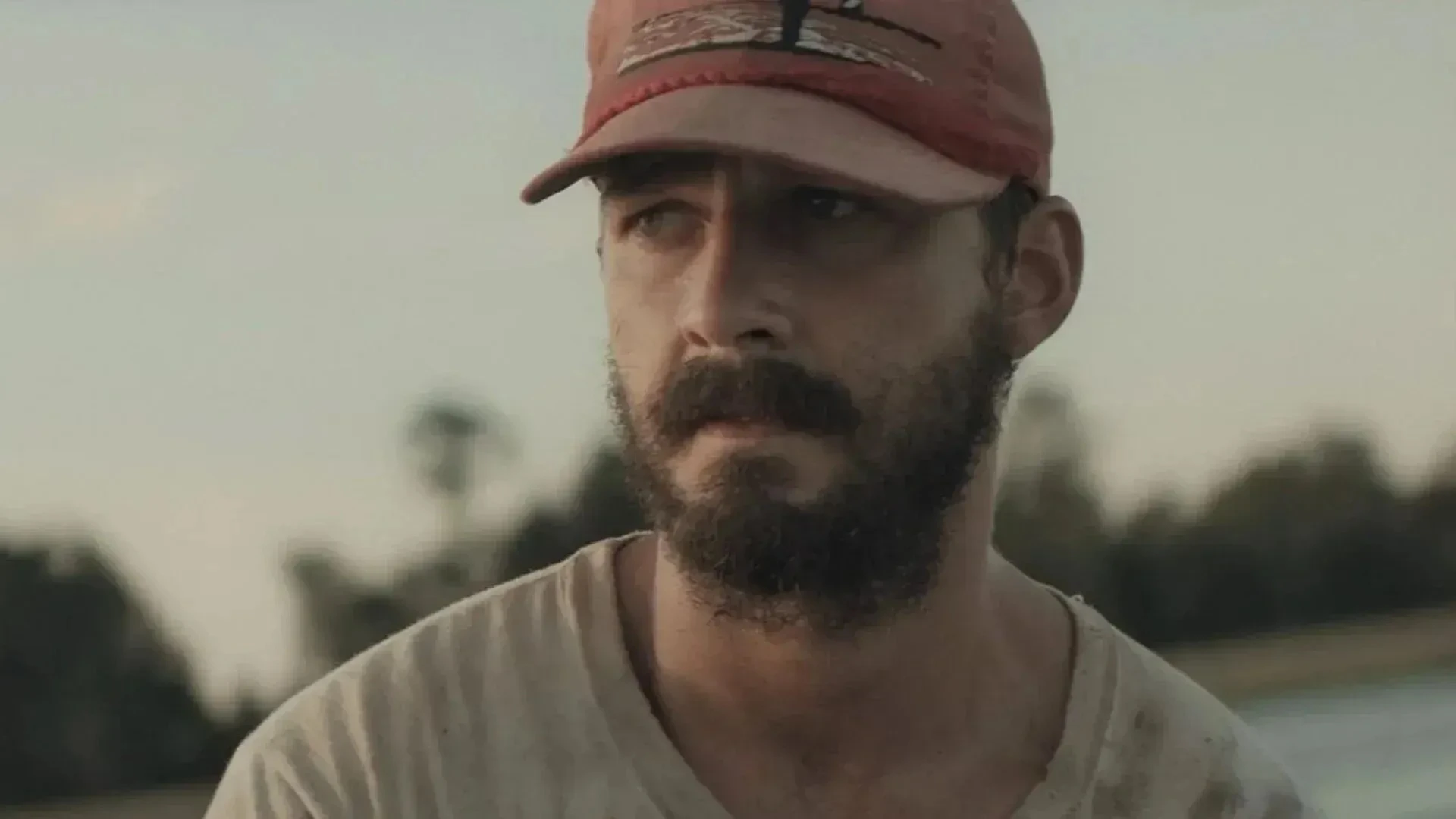Shia Labeouf revela que pai levou tapa de atriz em set de filme