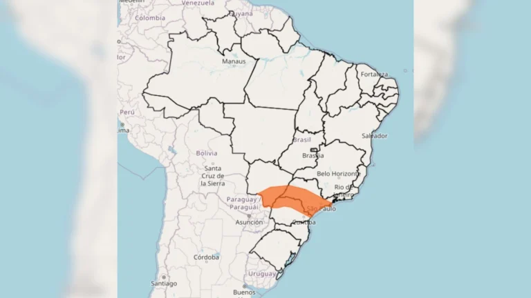 Inmet emite alerta para São Paulo, Paraná e Mato Grosso do Sul para tempestades e queda de granizo