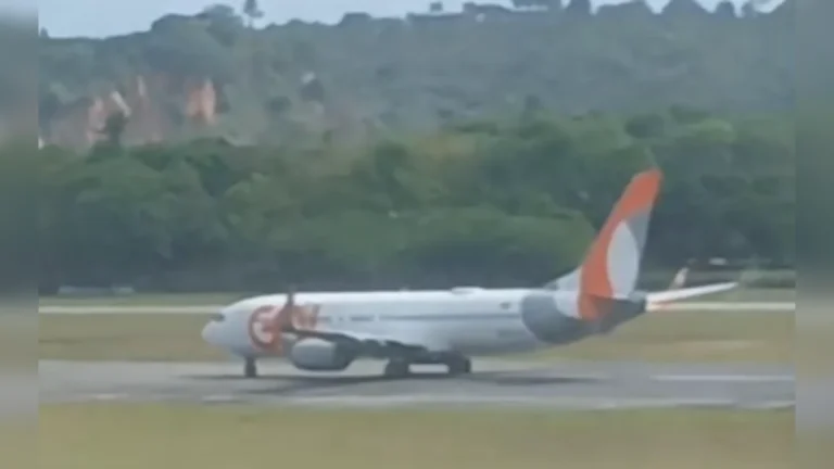 O que é um “birdstrike”, incidente que fez avião da Gol voltar para PE
