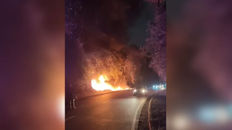 Incêndios na Amazônia: Tarcísio e Nikolas criticam; governo envia reforço
