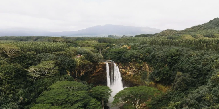 Análise: Fogo e El Niño ameaçam a fábrica de chuva amazônica