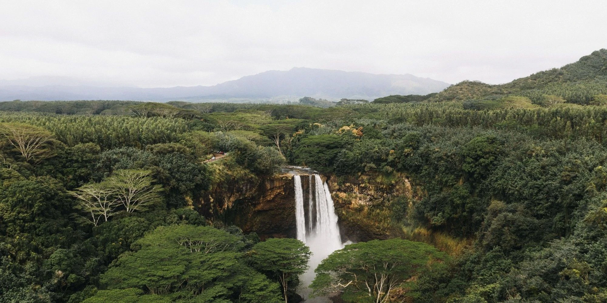 Análise: Fogo e El Niño ameaçam a fábrica de chuva amazônica